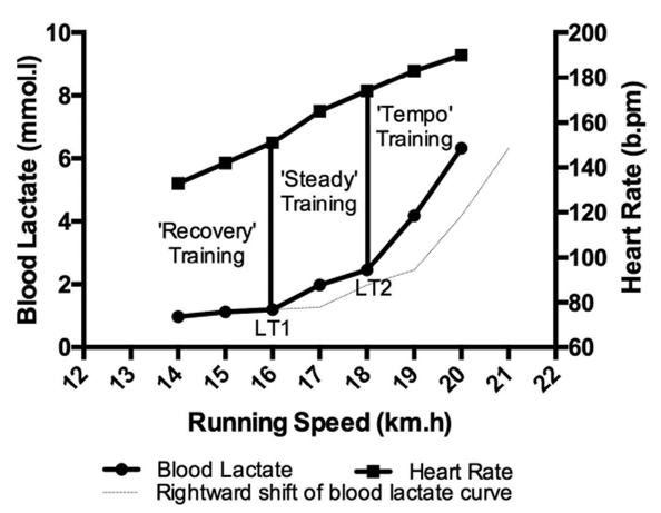 Example blood lactate and heart rate data from the sub-maximal treadmill test