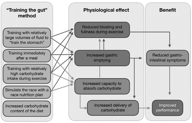 A summary of methods to ‘train the gut’, physiological adaptations that may occur and the affect upon performance