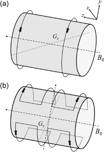 Magnetic Resonance Imaging, Basic Principles of MRI