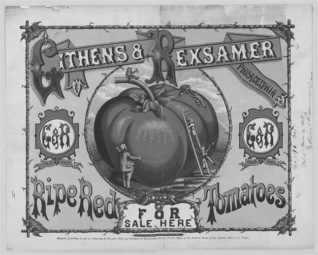 Tomato. (Art courtesy of Library of Congress, https://www.loc.gov/pictures/item/95509317/.)