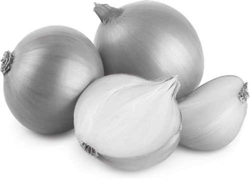 Onion. (Photo from Shutterstock.)