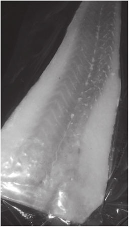 Cod. (Photo from author.)