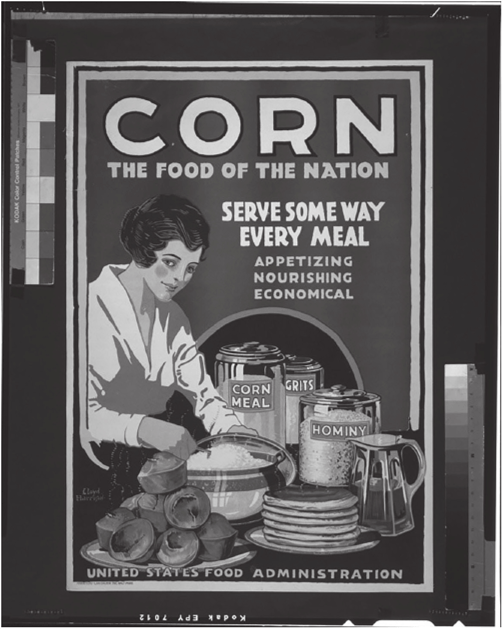 Corn. (Photocourtesy ofLibraryofCongress. https://www.loc.gov/pictures/itern/2002711987/.) 12.5.2 Corn in Amerindian Diets