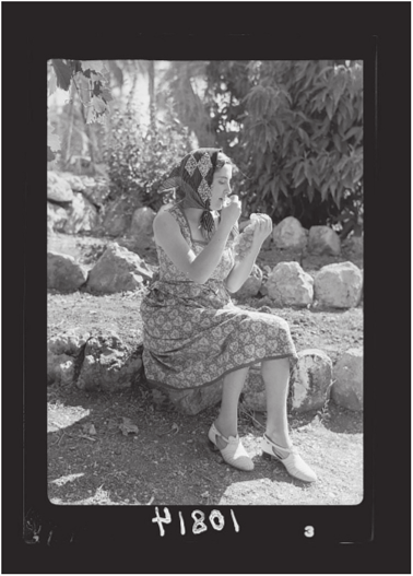 Grapes. (Photo courtesy of Library of Congress, https://www.loc.gov/pictures/itern/2019710469/.)