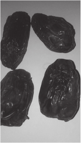 Dates. (Photo from author.)