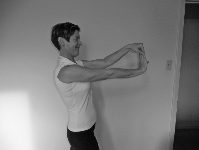 ERGONOMICS CHECKLISTS - Teaching healthy musicianship : the music ...