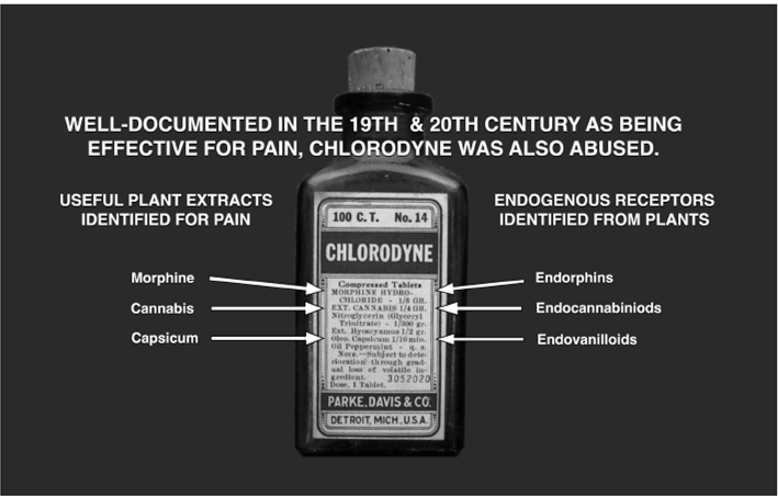 Pre-dating their respective receptors’ discoveries, pharmaceutical products containing combinations of plant-sourced chemicals were common in formulary
