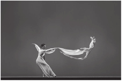 A Modernized Salpuri Dance Choreographed and Danced by Fong (2011)