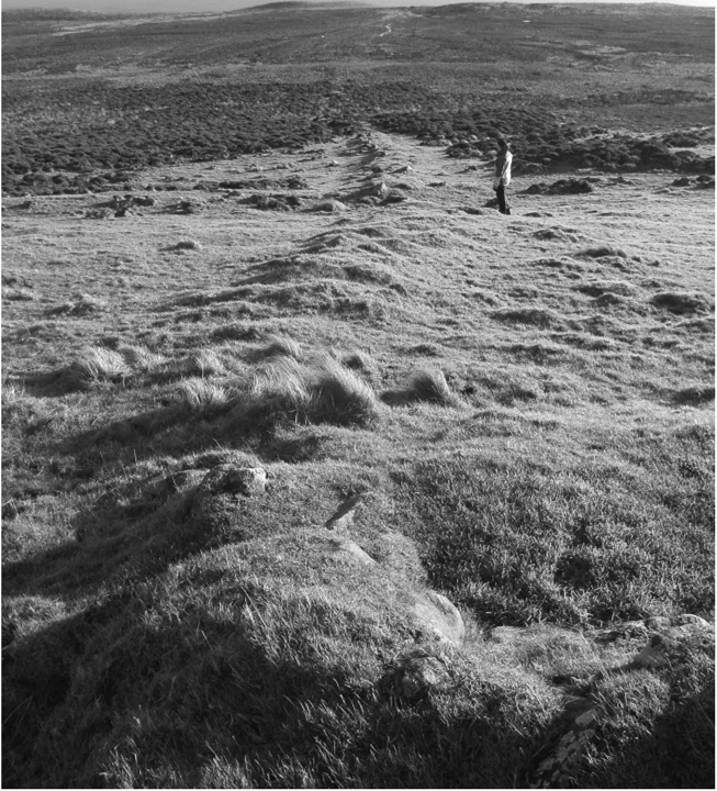Linear Earth Linear earthworks and pit alignments, 1100-700 BC