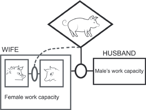 Diagram in which piglet now objectifies exchange of domestic services between man and wife. After Gell 1999,46