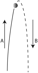 Path of a ball thrown into the air