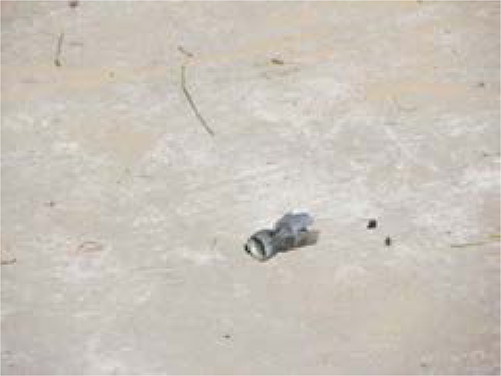 Wadding from a shotgun shell found near a dog's body