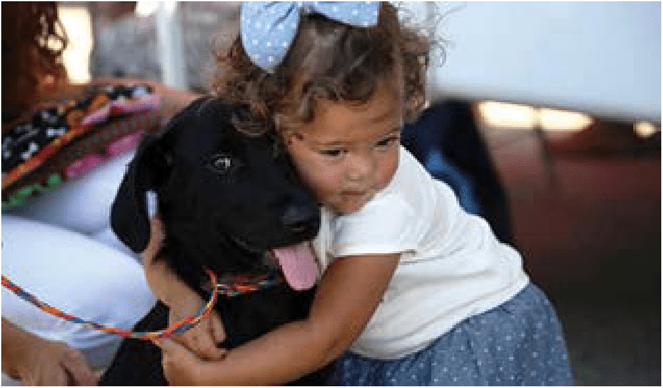 HLE officers need to recognize that domestic abuse and animal abuse often occur together