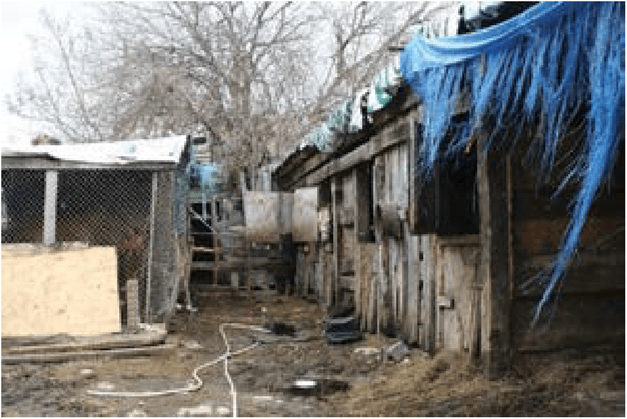 Actual scene photograph of dilapidated stables—an example of inadequate shelter
