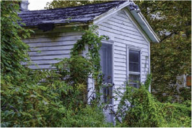 Investigative photograph—a property where it was reported that animals were abandoned inside a home