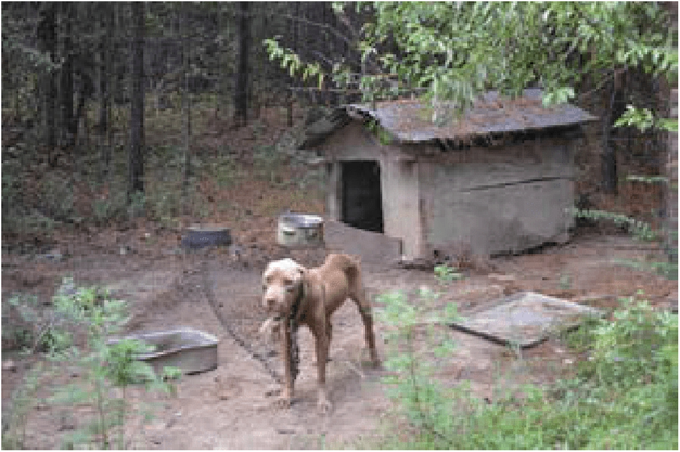 Photograph obtained during an investigation without entering the property; photo taken from an alleyway behind the property