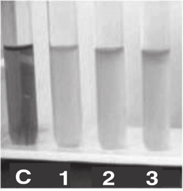 Acid production from sucrose, maltose, and dextrose (C, Control; 1, sucrose; 2, maltose; and 3, dextrose)
