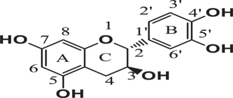 Basic building block of flavonoids and flavan-3-ol unit