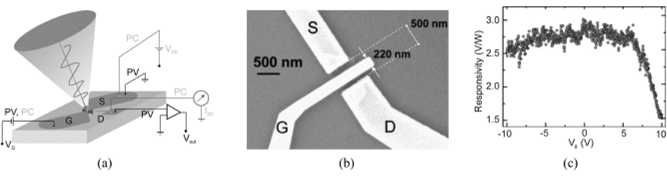 Top-gated nanometer FET exploiting a thin BiTe_Se flake