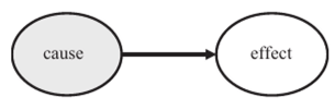 Causal relationship abstracts from universal interconnectedness