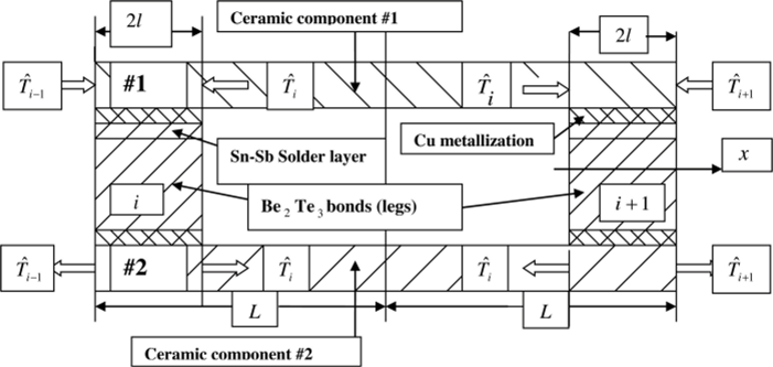 A segment of а ТЕМ structure