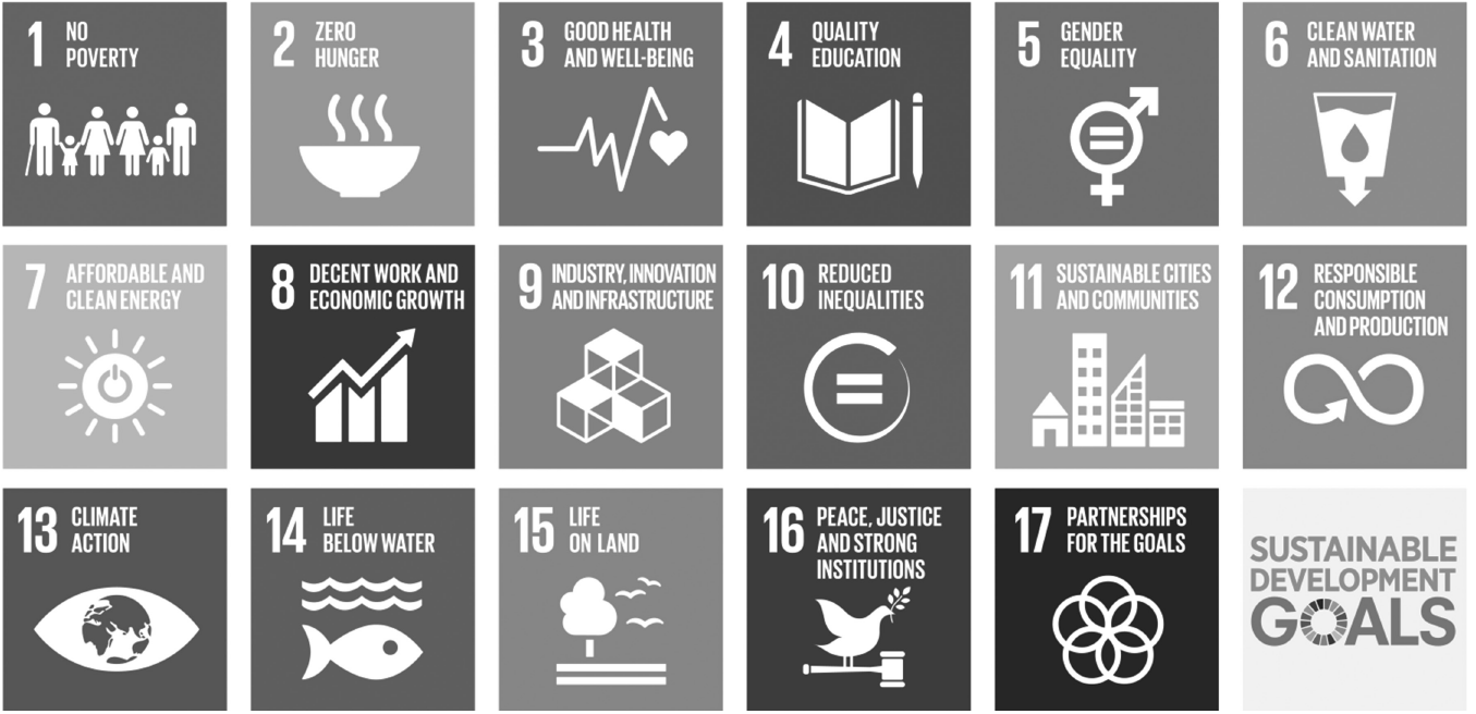 The sustainable development goals. Source
