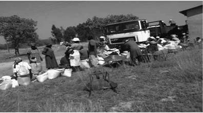 Grass Turned to Gold. The day when 5,000 U.S. dollars was put into the Chinyika economy, the Chinyika people came to sell their finger millet in a long queue waiting to be saved: the day the grass turned into gold